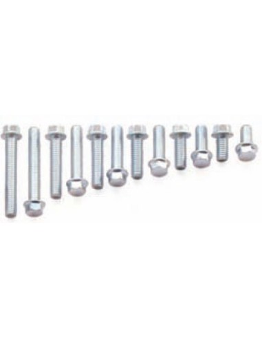 Pack Tornillos Hexagonal (10u)
