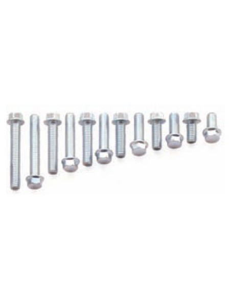 Pack Tornillos Hexagonal (10u)