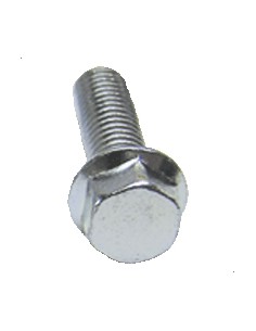 Pack Tornillos Hexagonal (10u)