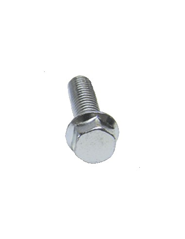 Pack Tornillos Hexagonal (10u)