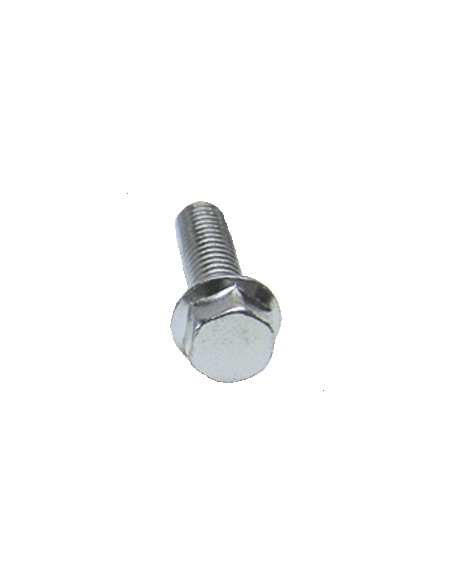 Pack Tornillos Hexagonal (10u)