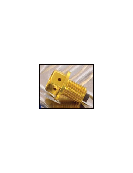 Tornillo vaciado de aceite con Iman M12