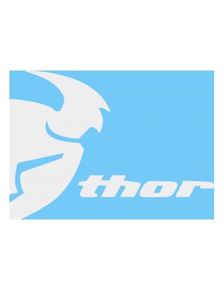 Adhesivo Thor 10X8