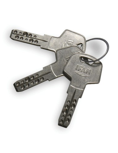 Antirrobo Traveller mini Secure Ifam