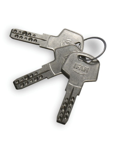 Antirrobo Traveller mini Secure Ifam