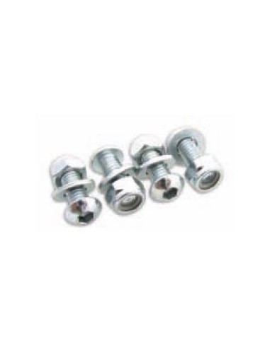 Tornillos sujeción Matrícula