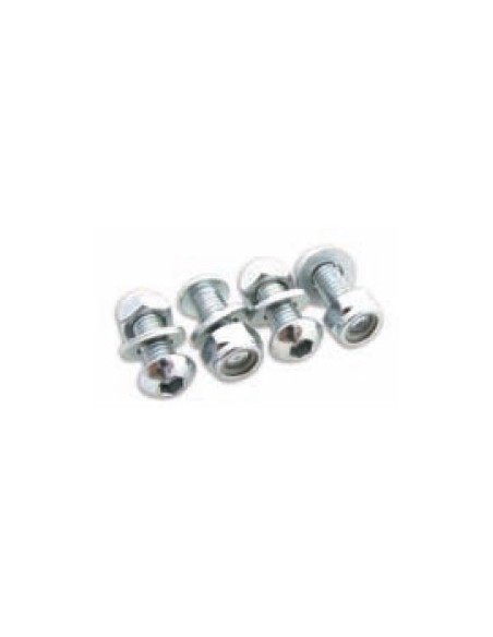 Tornillos sujeción Matrícula