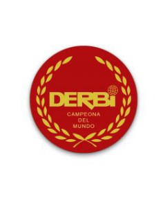 Adhesivo Derbi Resina 5cm