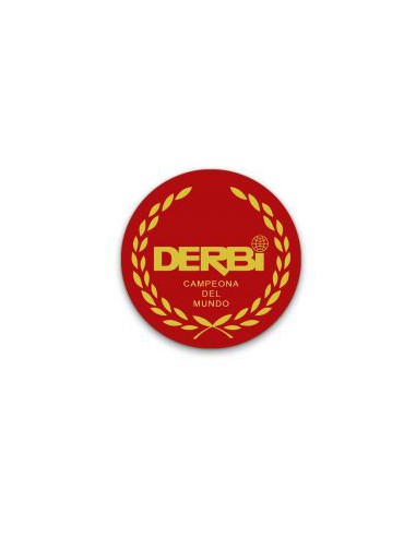 Adhesivo Derbi Resina 5cm