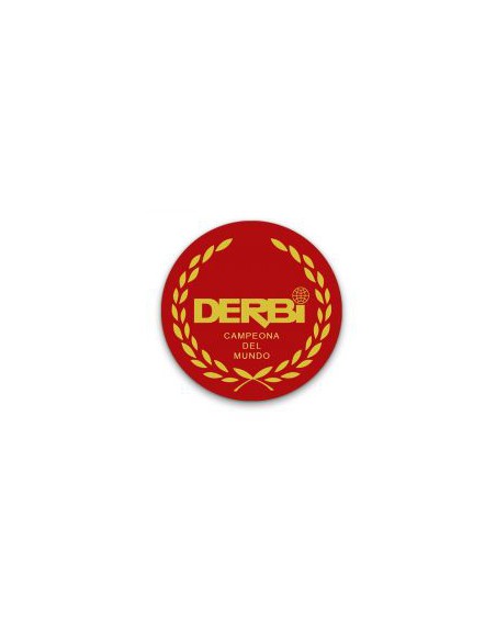 Adhesivo Derbi Resina 5cm