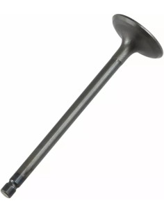 VALVULA ADMISION Yamaha YFM 660