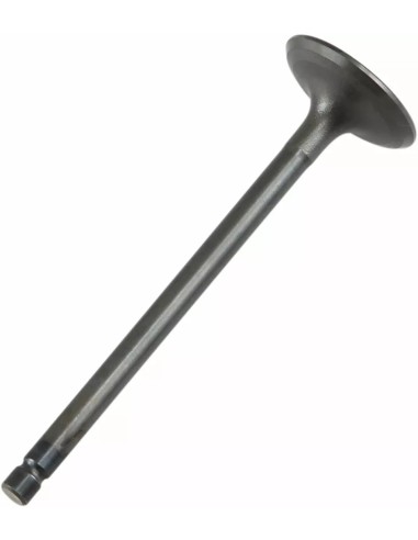 VALVULA ADMISION Yamaha YFM 660